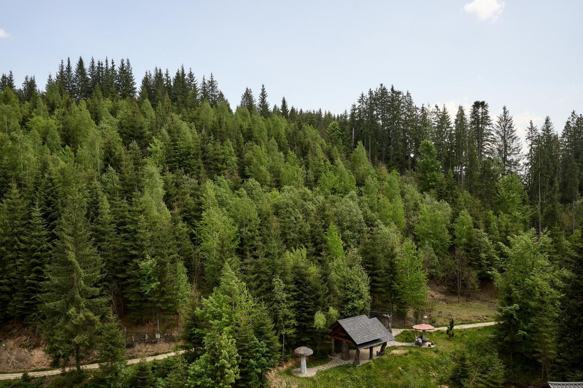 Hotel Goral &